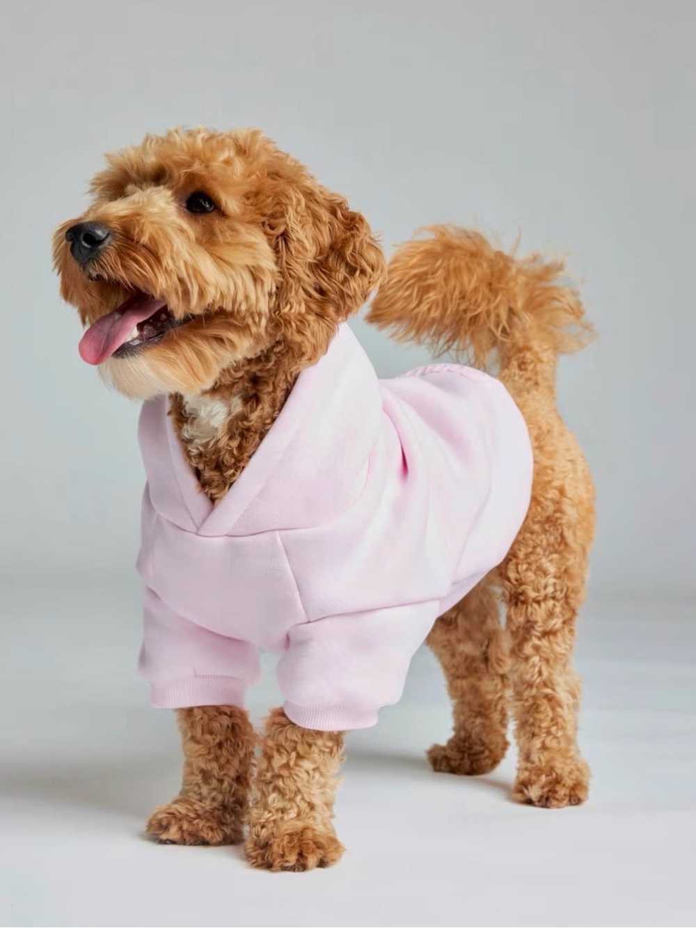 Comfrt Minimalist Paw Hoodie- Limited Edition: Powder Pink